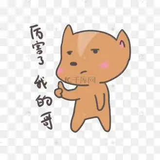 厉害了我的哥小狗表情包