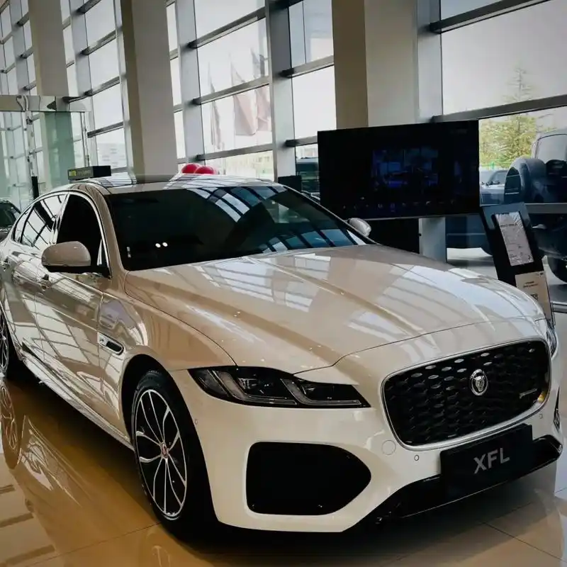 3月捷豹定制300p这几天升级测试反馈