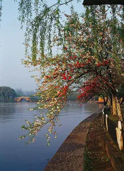 杭州西湖十景苏堤春晓