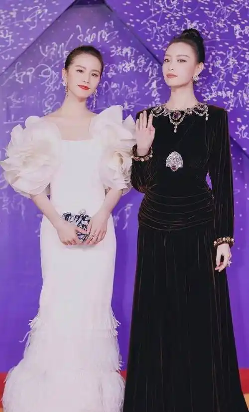 刘诗诗人淡如菊的气质,倪妮就看上去更活泼热情,两人虽然都穿着长礼服