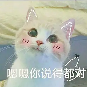 猫咪撒娇表情图片 撒娇的猫咪太撩人了~~~ - 【可爱点】