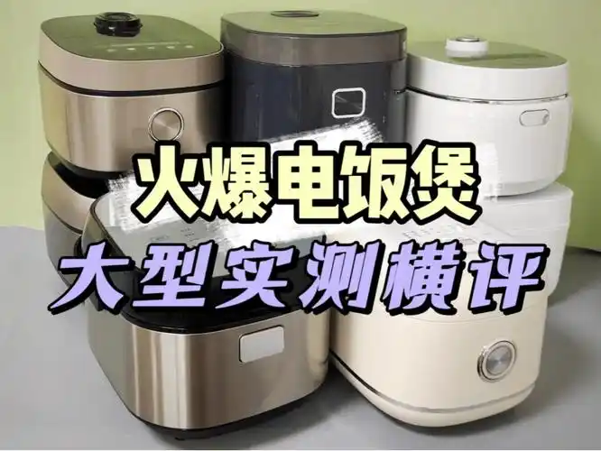 2024年五大优质机型推荐!_电饭煲_方面_功能