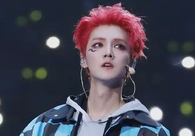 黄子韬现身鹿晗演唱会 网友:这是梦回exo吗?