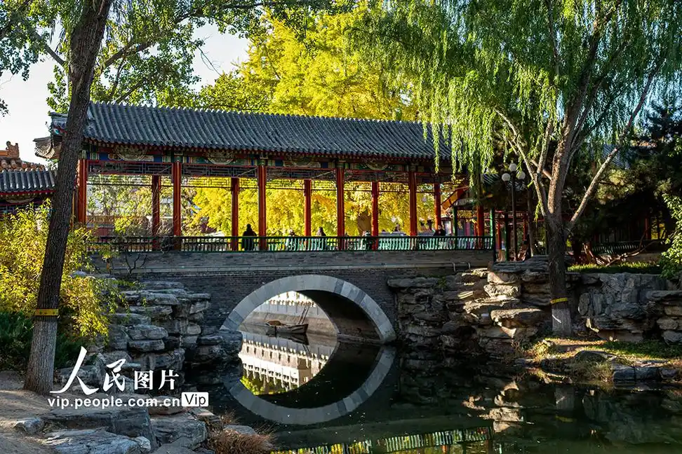 北京中山公园美景迎客来