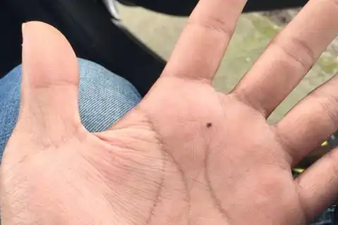 左手心有痣的男人能够很好的掌控自身的命运,而且这样的人也是一个很