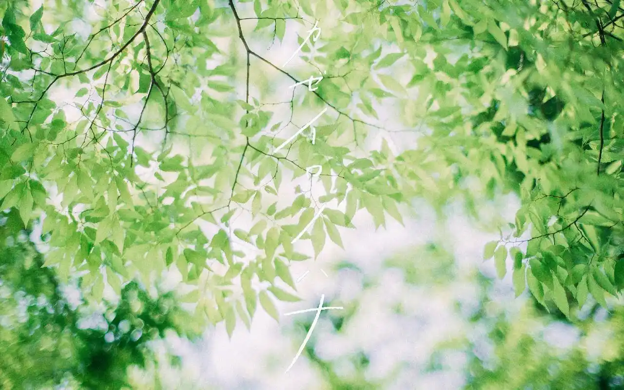 日系风格的唯美小清新风景图片桌面壁纸