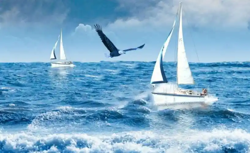 写美篇扬帆起航 乘风破浪     至此,世纪教育集团2019年青年教师培训