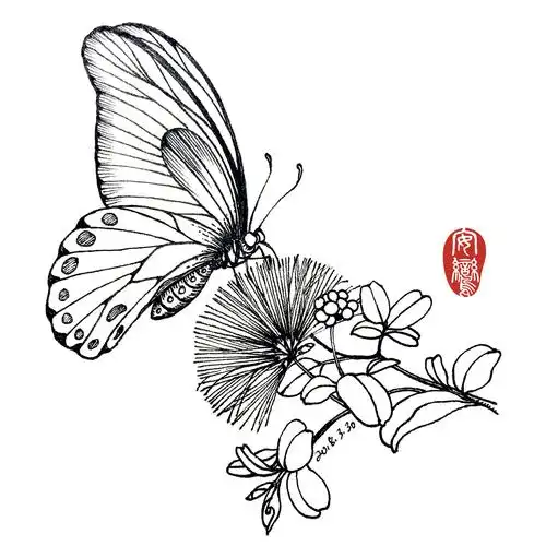 【线描练习】重新整理了前几日的蝴蝶