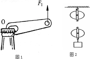(1)在图1中,画出作用在"开瓶起子"上动力f1的力臂和阻力f2的示意图.