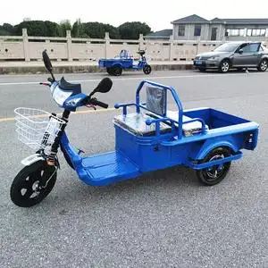 电动三轮车成人家用货运车快递平板小型电瓶三轮车代步车接送孩子