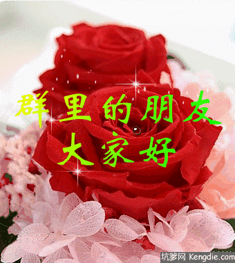 340_380gif 动态图 动图