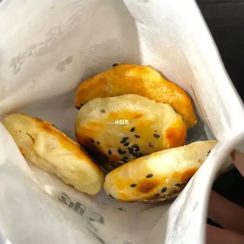 焦作美食鱼庆烧饼