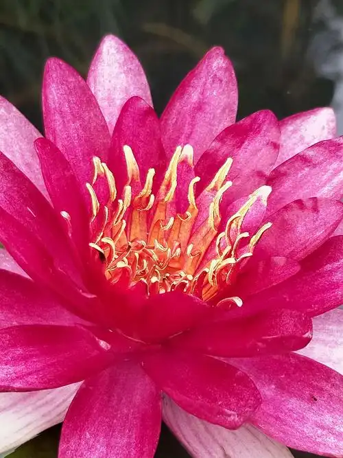 一木一浮生,一草一天堂,一叶一如来,一砂一极乐,一方一净土,一笑一