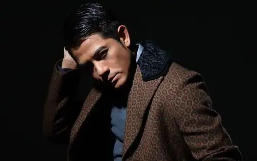 郭富城桌面壁纸大全