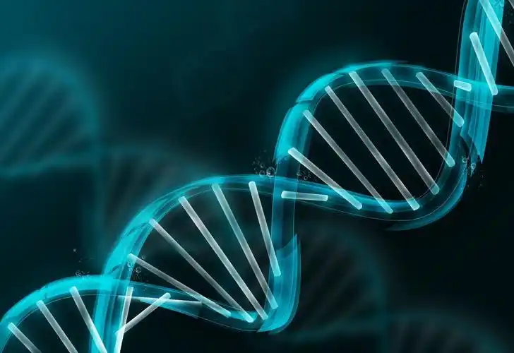 通过健康社区学习掌握自我管理疾病的知识,逐渐改变不良的生活方式