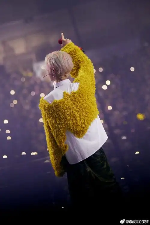 鹿晗演唱会背影图##鹿晗
