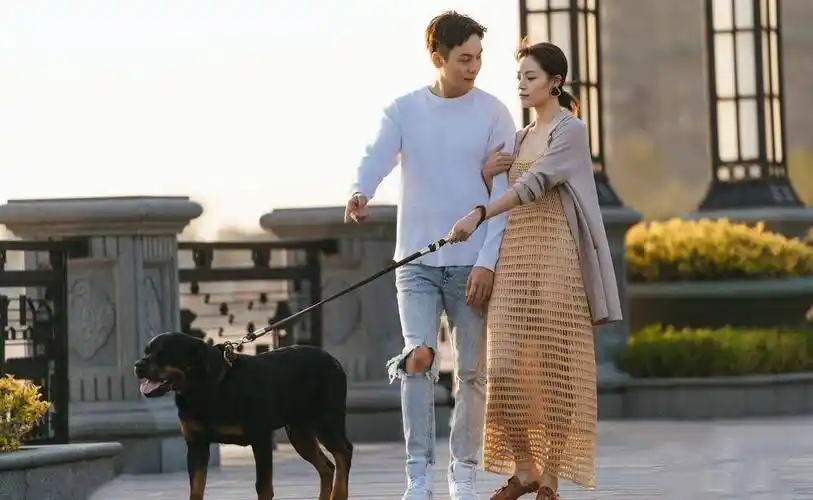 93年霸气钟楚曦,不愿做天王嫂,做女王一路"芳华"_陈伟霆_聂小倩_电影