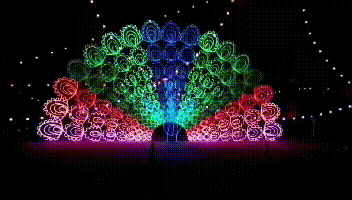 352_200gif 动态图 动图