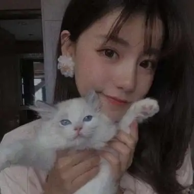 抱着猫咪的女头像高清漂亮女头抱着猫咪的图片