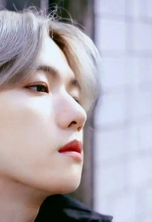 【白发边伯贤】真的好好看!