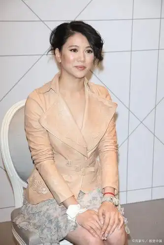 袁咏仪——清新自然的形象,平易近人的气质