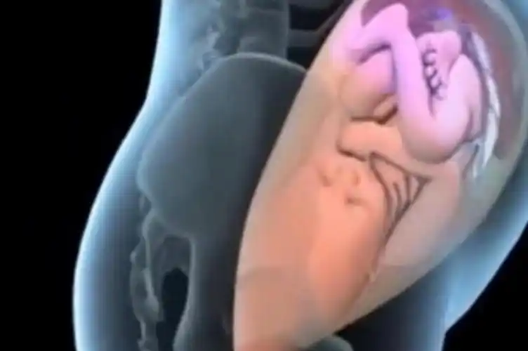 几张图带你看顺产的全过程,生而为人需了解,妈妈真的很伟大_孩子