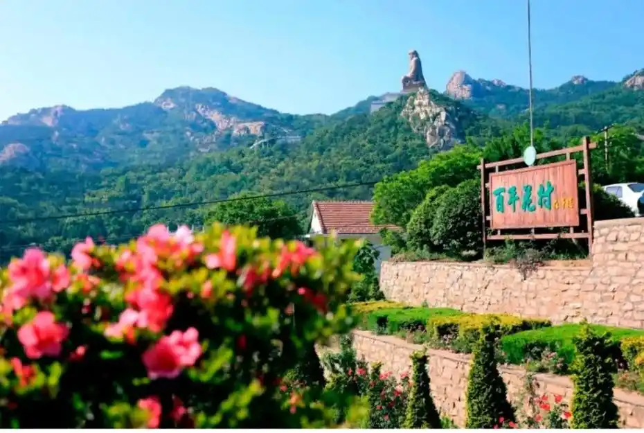 坐落在山海有奇观的荣成赤山脚下的车脚河村,养花 - 抖音