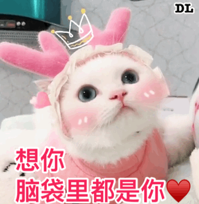 想你 脑袋里都是你(猫咪)_猫咪_脑袋表情