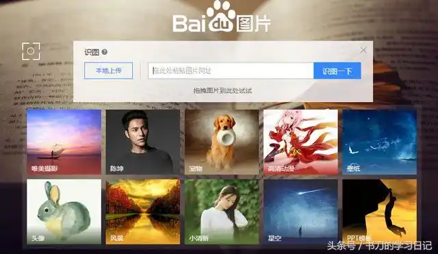 怎么搜图片-如何鉴定图片的来源?收好这3个以图搜图的网站和技巧