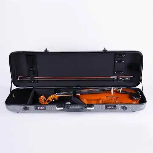 小提琴琴盒4/4尺寸专业 小提琴盒子玻璃钢碳纤维报价_参数_图片_视频_