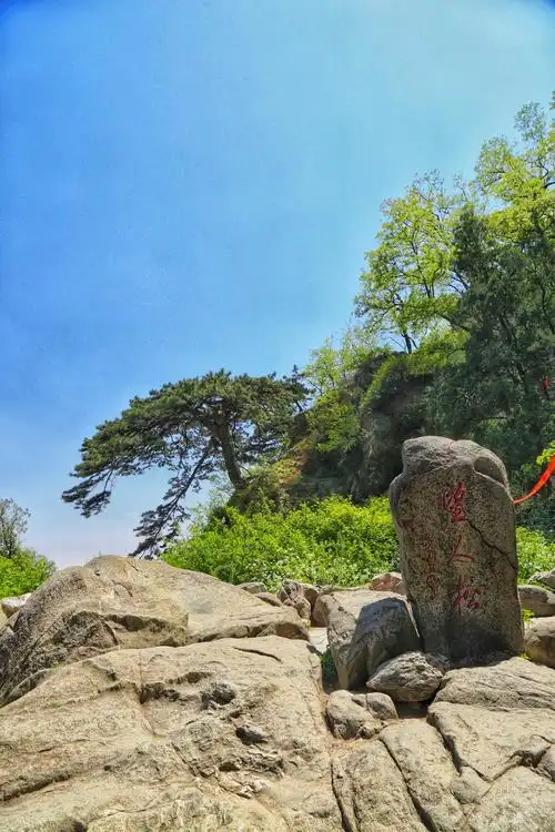 山东行之十二(泰山) - 美篇