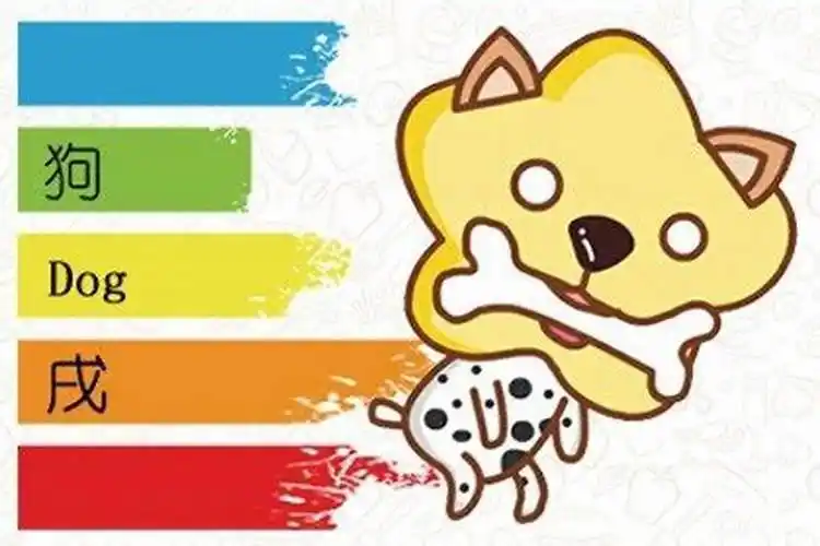 1970年属狗人五行缺啥