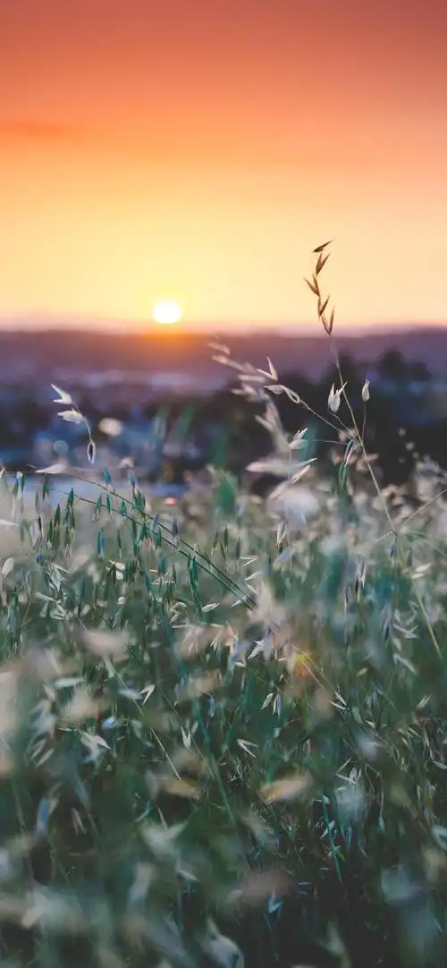 唯美自然晚霞风景高清手机壁纸