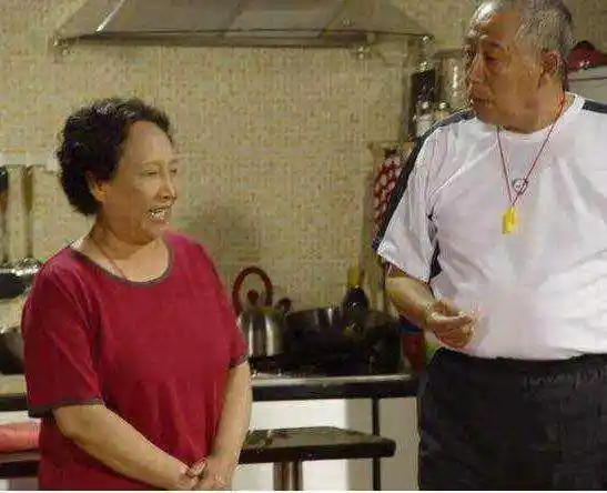 家有儿女为何后两部中的夏雪要换人那些秘密终于被说出