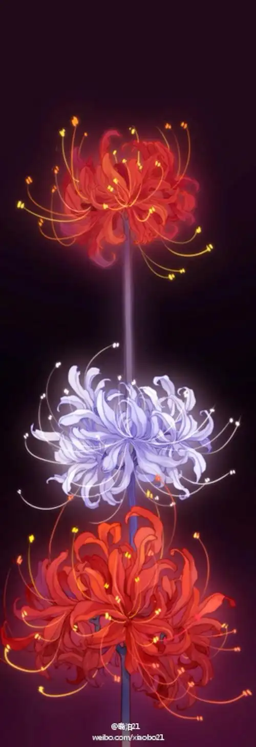 彼岸花开开彼岸,忘川河畔亦忘川,奈何桥头空奈何,三生石上写三生.