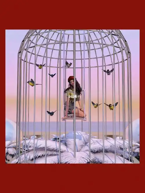 "你看那只鸟啊,长得这么漂亮,被关在笼子里,飞不出来,多可怜"