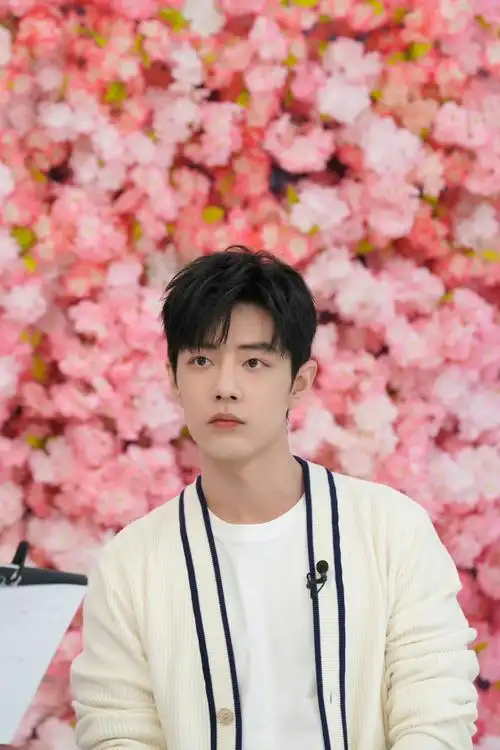 肖战身着白色衬衫,清爽帅气清新男孩,温暖笑容格外美好