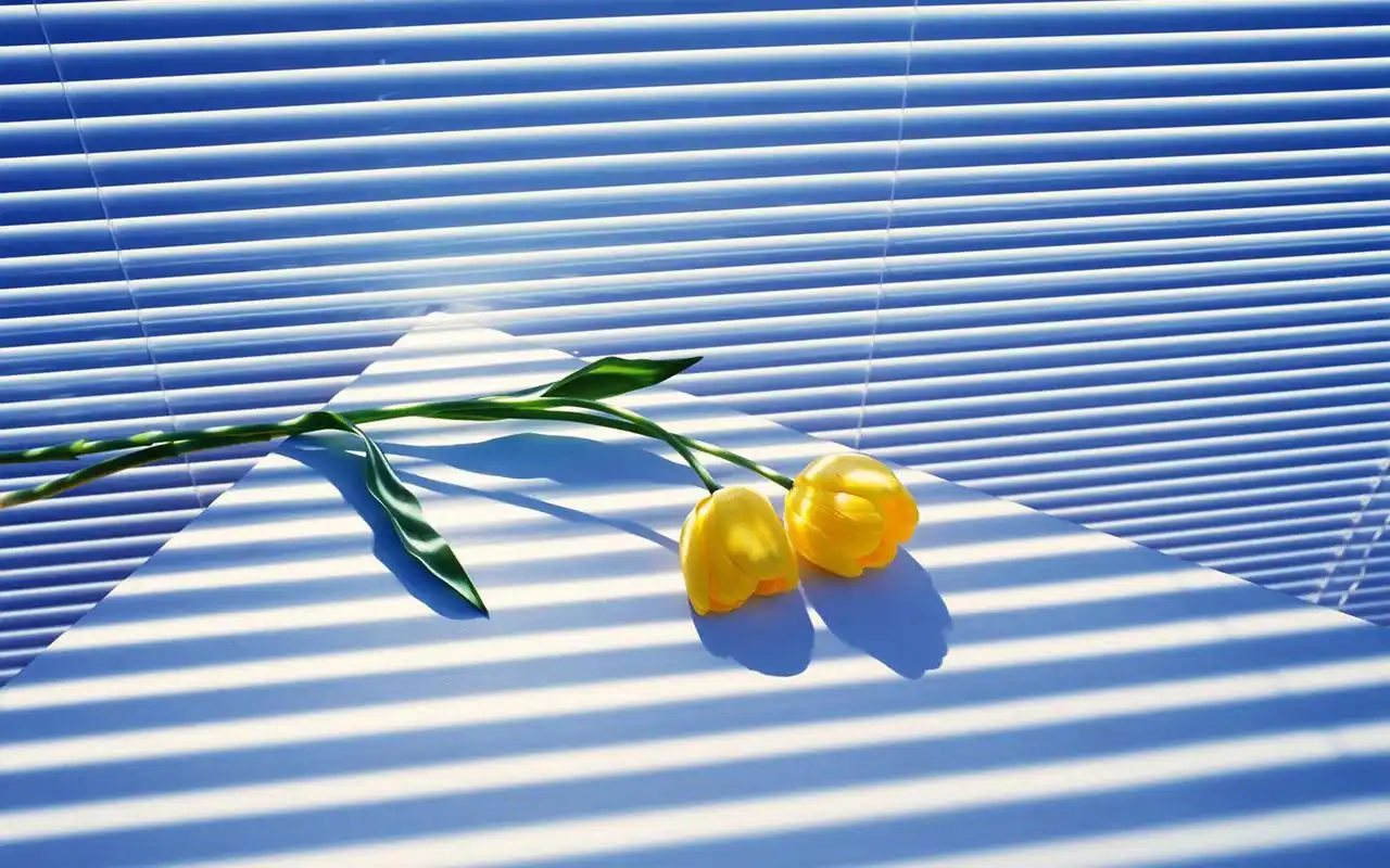 文艺简约背景图片桌面壁纸