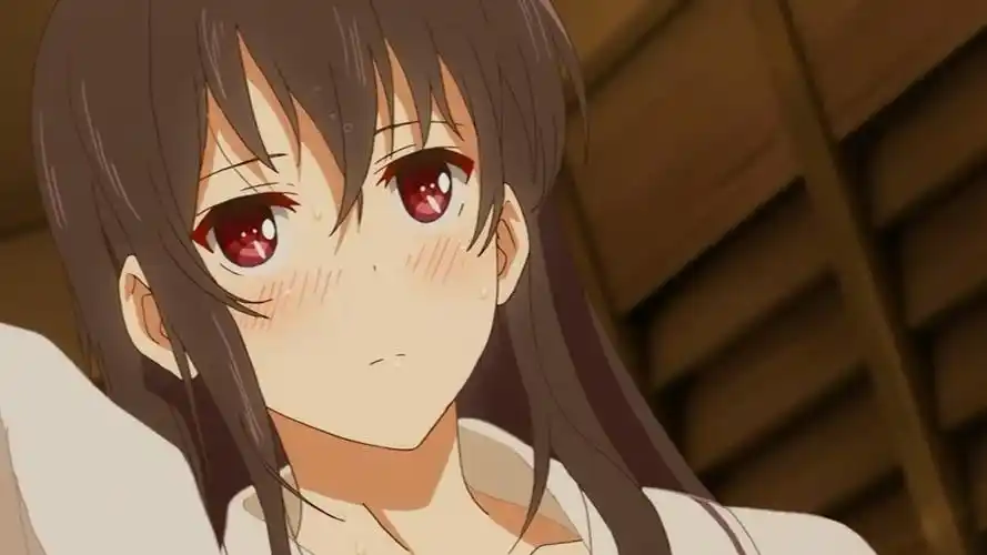 番名:《路人女主的养成方法》