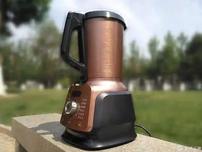 无渣才香浓 苏泊尔大磨头真磨醇浆机详细试用