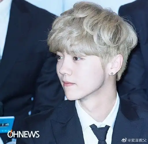 鹿晗银发#鹿晗参加活动 银色造型太好看了 多多营业啊