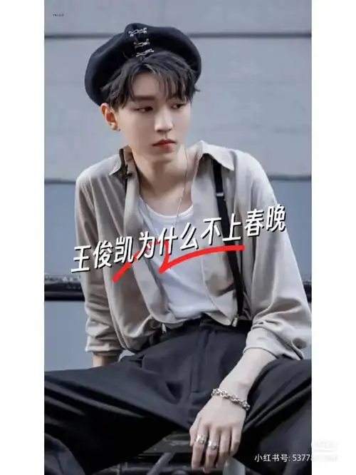 所以小螃蟹们不要相信网上说的什么王俊凯没有实力上春晚,这些都是