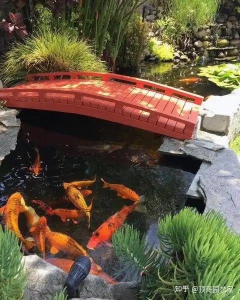 自然式鱼池就是鱼池形状模仿自然界中的水潭,溪流和河谷等水体的形状