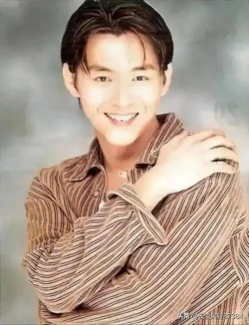 在过去的岁月里,有一些台湾男演员以其独特的魅力和出色的演技,成为了