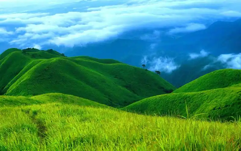 首页 桌面壁纸 风景壁纸 超清护眼绿色风景图片电脑壁纸