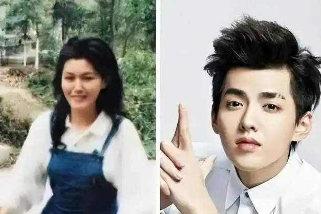 从归国顶流到资本弃子吴亦凡走到今天的局面他的母亲难辞其咎