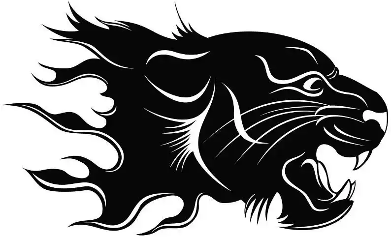 头部,虎,黑色,剪影,火焰_高清图片_全景视觉