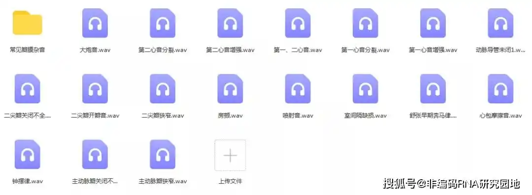 听诊考核软件免安装 心肺腹,考核听诊软件安装包 心脏杂音音频
