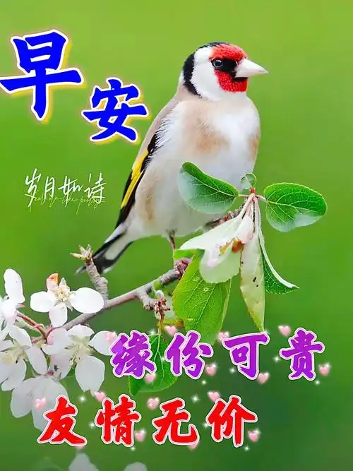 4月30日早上好 | 每日问候