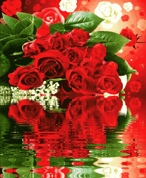 绝美动态玫瑰倒影花册太绝美了